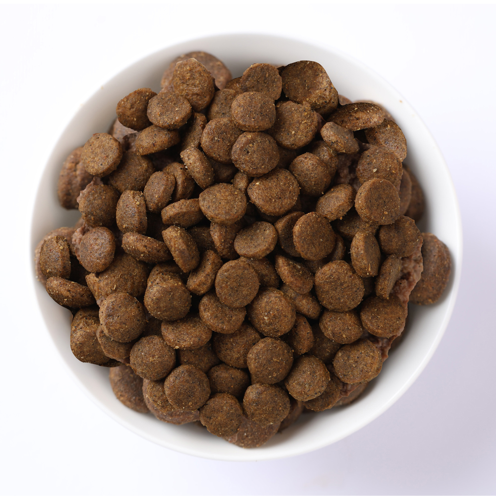 Ciotola di crocchette per cani vista dall’alto