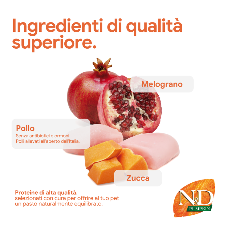 Ingredienti premium: pollo, melograno e zucca
