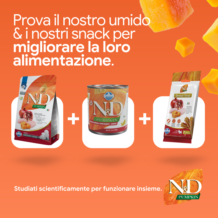 Linea N&D Pumpkin cibo e snack per cani