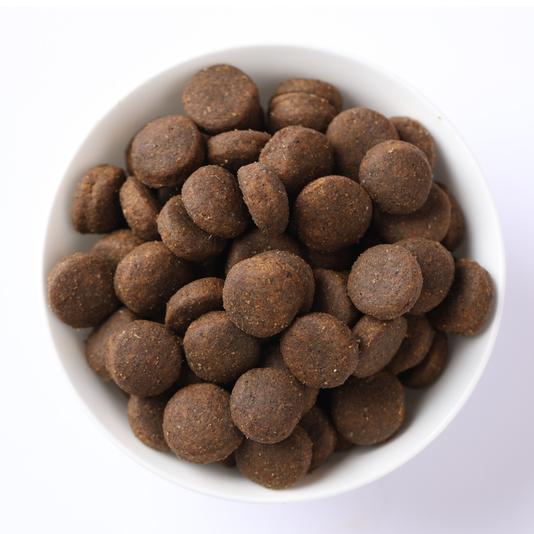 Ciotola di crocchette per cani