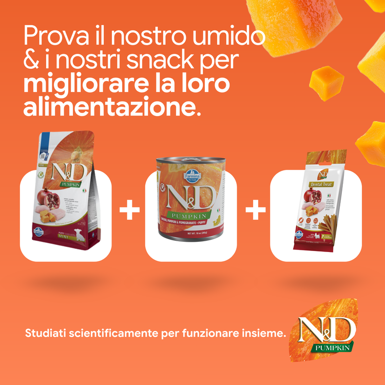 Prodotti N&D Pumpkin cibo umido e snack