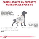 royal-canin-dog-veterinary-diet-gastro-intestinal-low-fat-gallery (1)