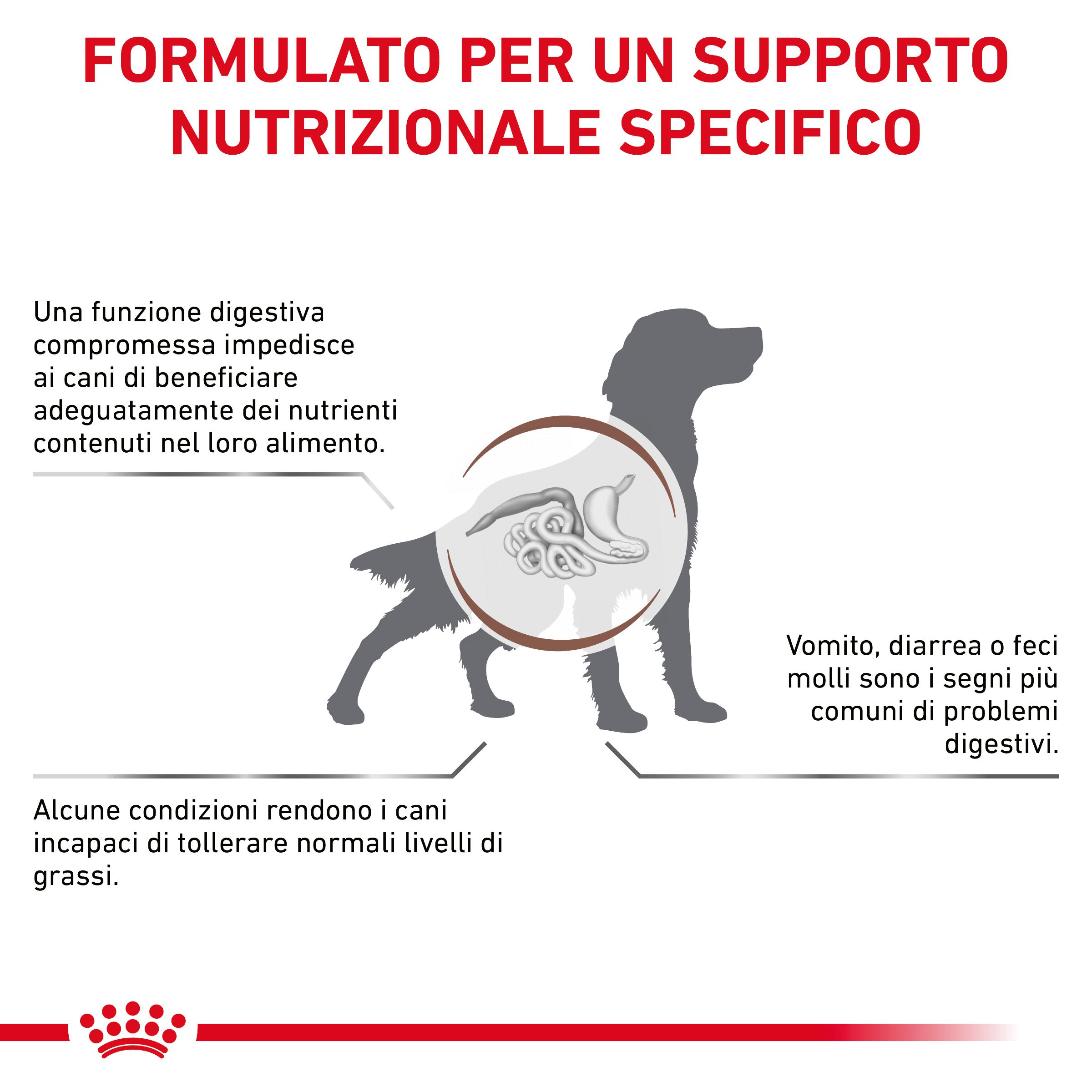 royal-canin-dog-veterinary-diet-gastro-intestinal-low-fat-gallery (1)
