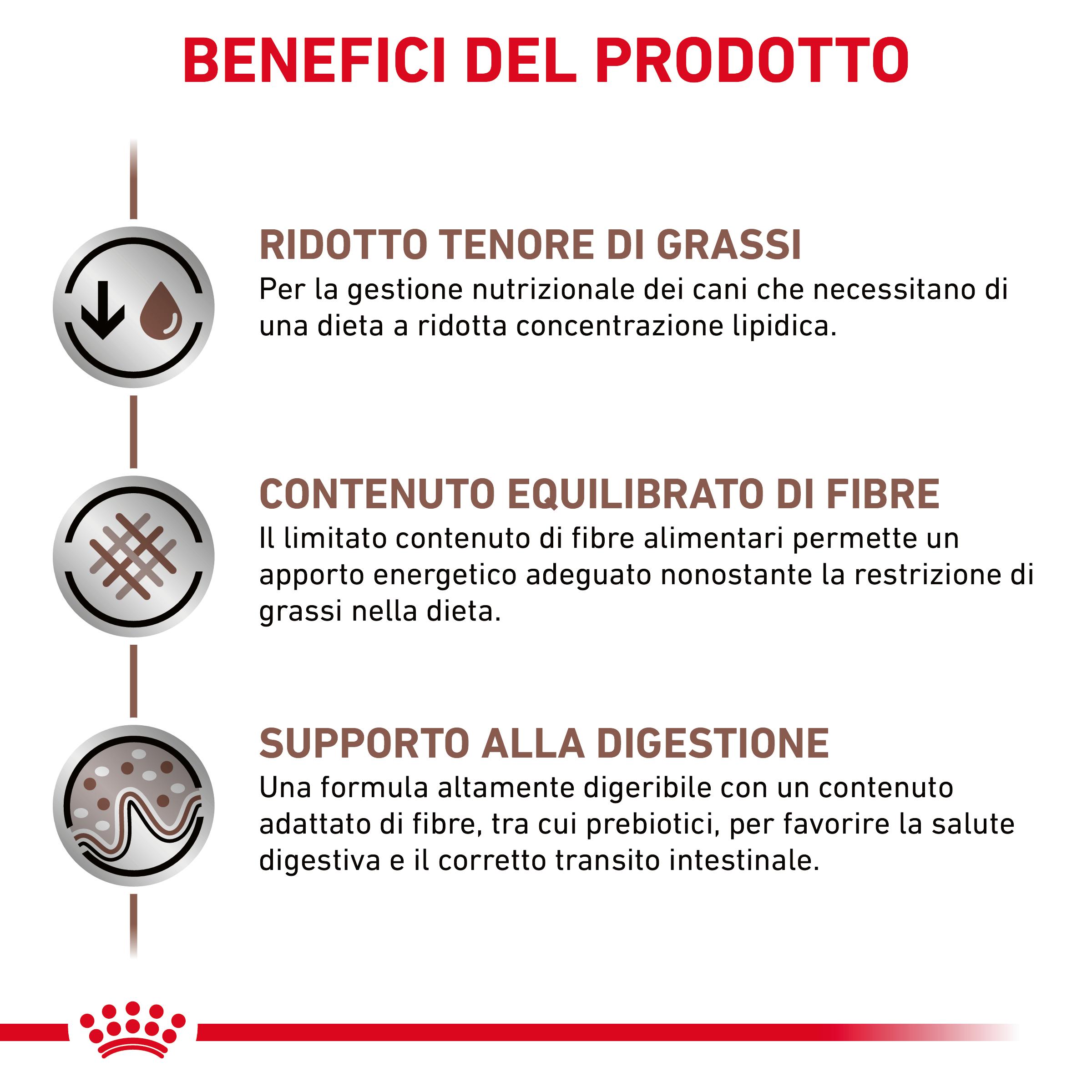 royal-canin-dog-veterinary-diet-gastro-intestinal-low-fat-gallery (3)