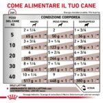 royal-canin-dog-veterinary-diet-gastro-intestinal-low-fat-gallery (4)
