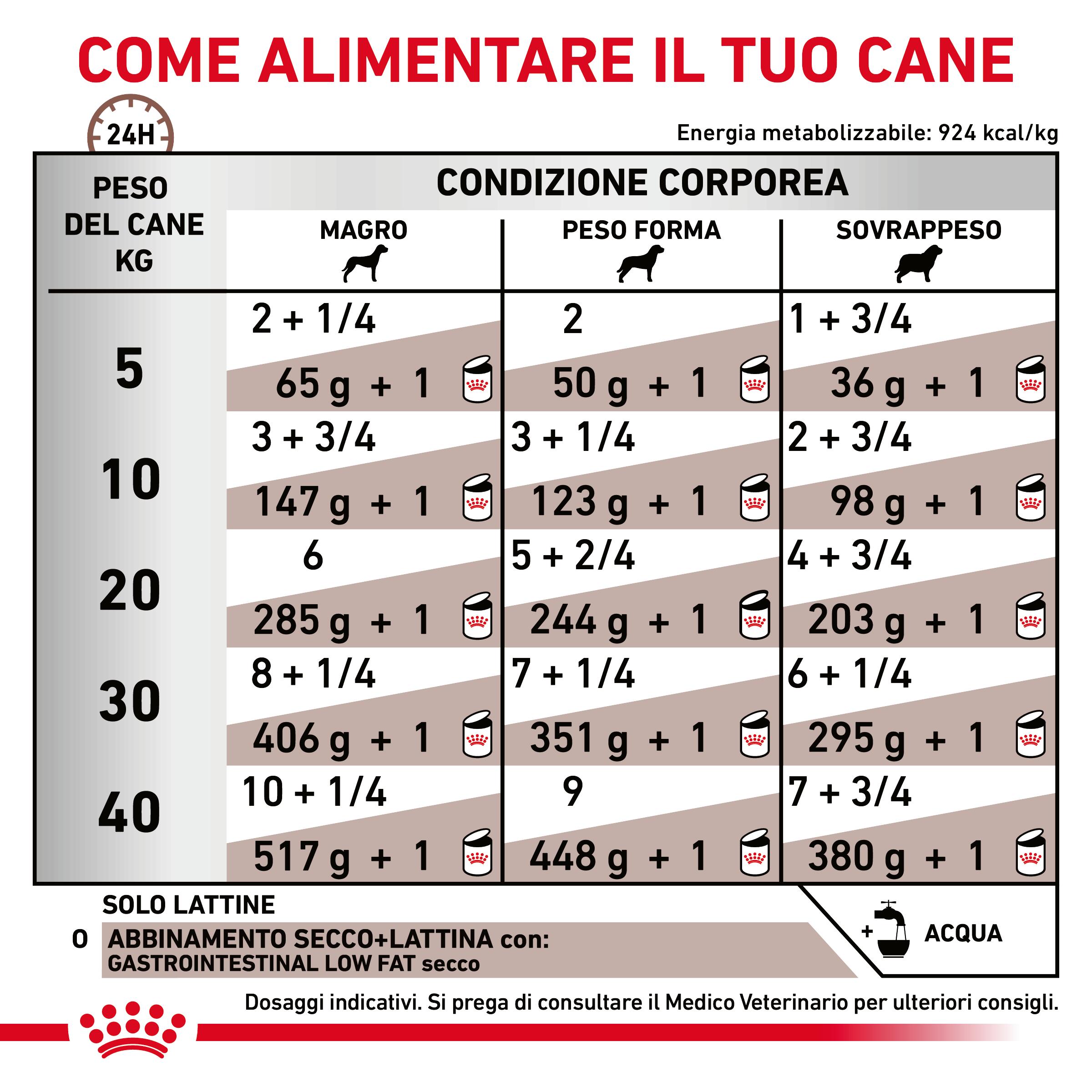 royal-canin-dog-veterinary-diet-gastro-intestinal-low-fat-gallery (4)