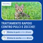 Virbac-Cat-Effipro-Spot-On-gallery