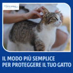 Virbac-Cat-Effipro-Spot-On-gallery-2