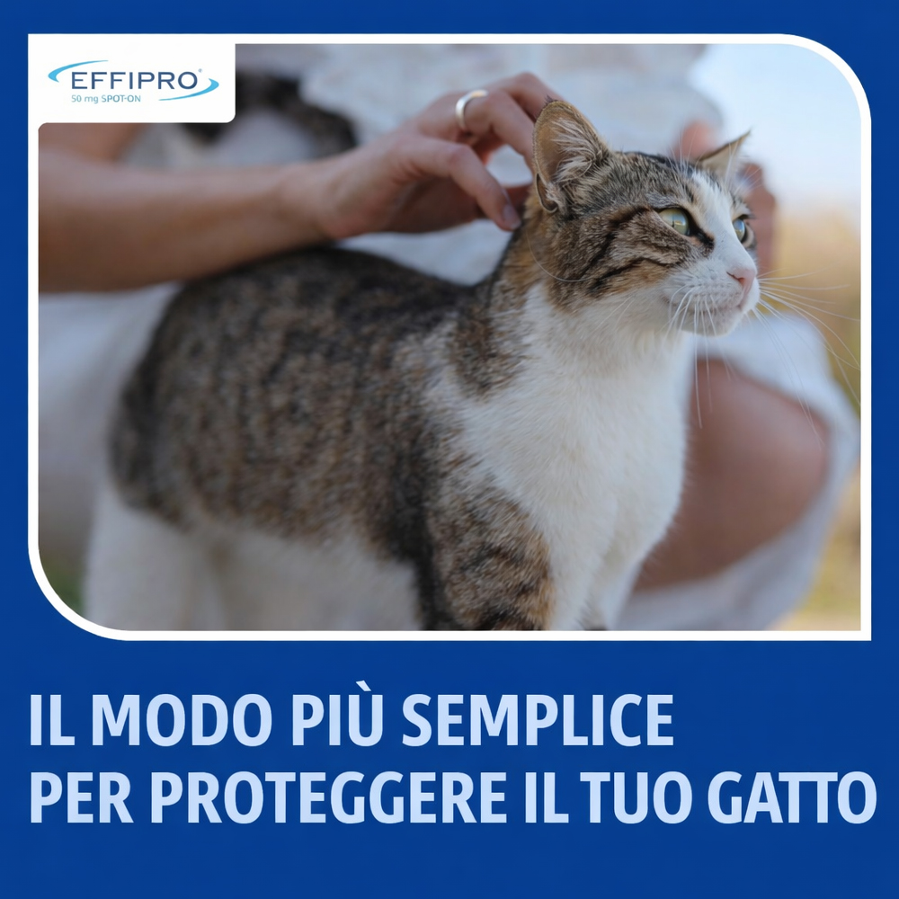 Virbac-Cat-Effipro-Spot-On-gallery-2