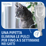 Virbac-Cat-Effipro-Spot-On-gallery-3