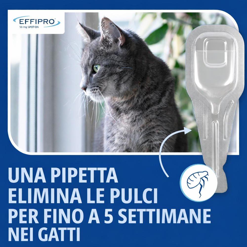 Virbac-Cat-Effipro-Spot-On-gallery-3