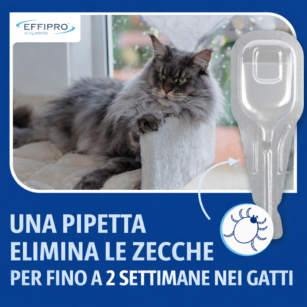 Virbac-Cat-Effipro-Spot-On-gallery-4