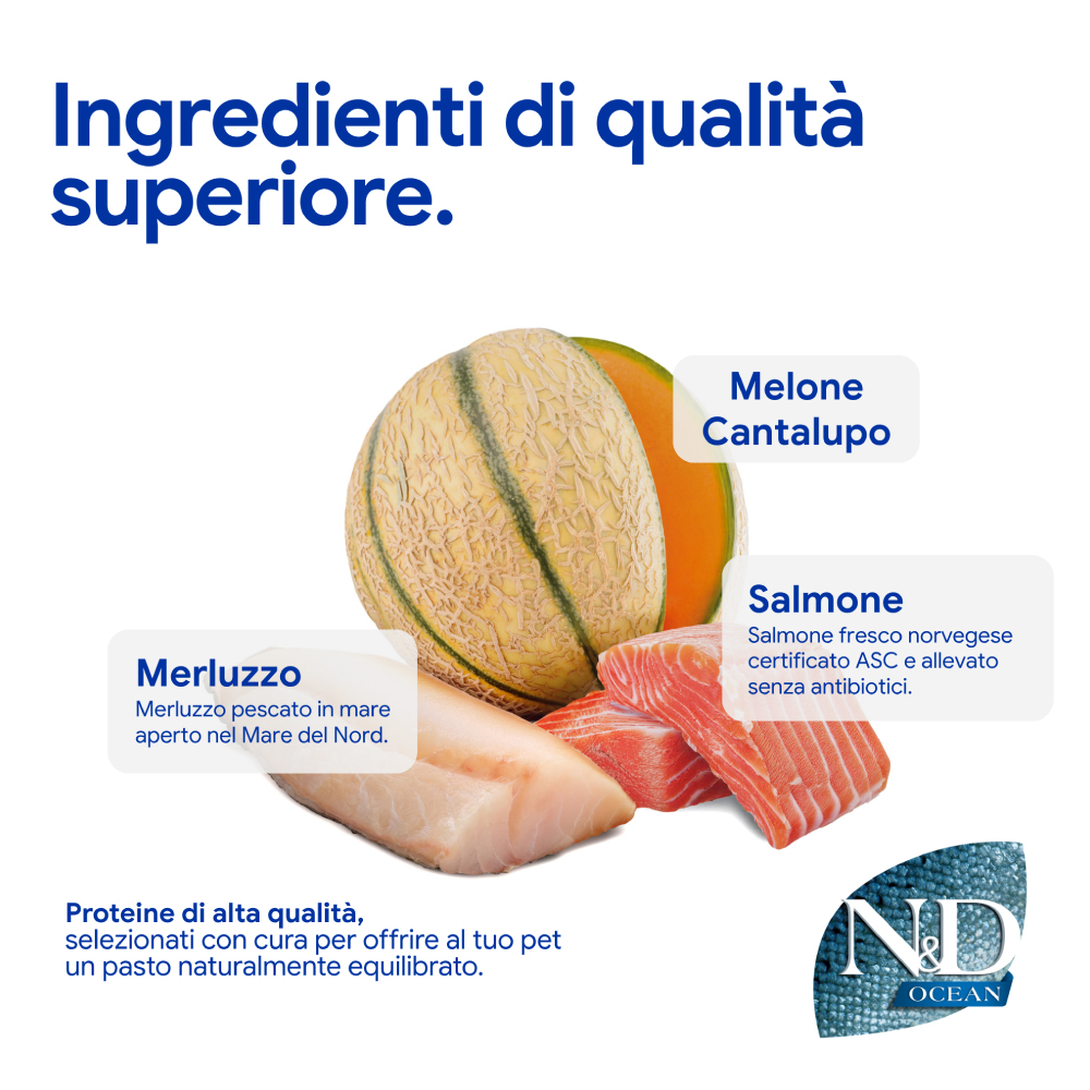 Ingredienti premium: melone, salmone e merluzzo