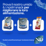 Alimenti umidi, secchi e snack N&D Ocean