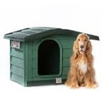 bama-cuccia-bungalow-verde