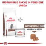 Royal Canin Gastrointestinal Kitten secco e umido