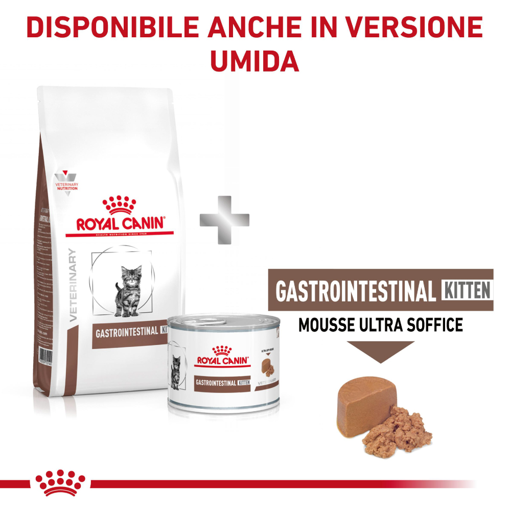 Royal Canin Gastrointestinal Kitten secco e umido