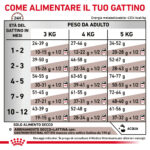 Tabella alimentazione gattino per età e peso