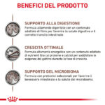 Benefici prodotto per gattini: digestione e crescita