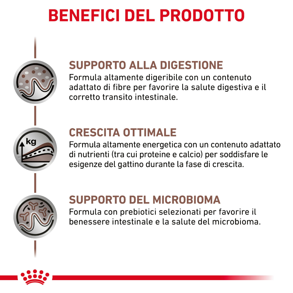 Benefici prodotto per gattini: digestione e crescita
