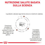Nutrizione scientifica per gattini con vitamine e taurina