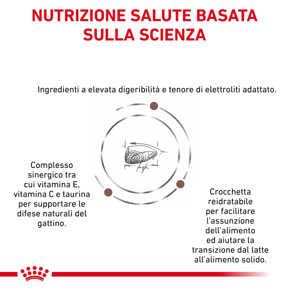 Nutrizione scientifica per gattini con vitamine e taurina