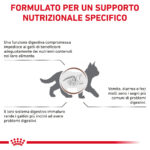 Infografica su supporto nutrizionale digestivo per gatti