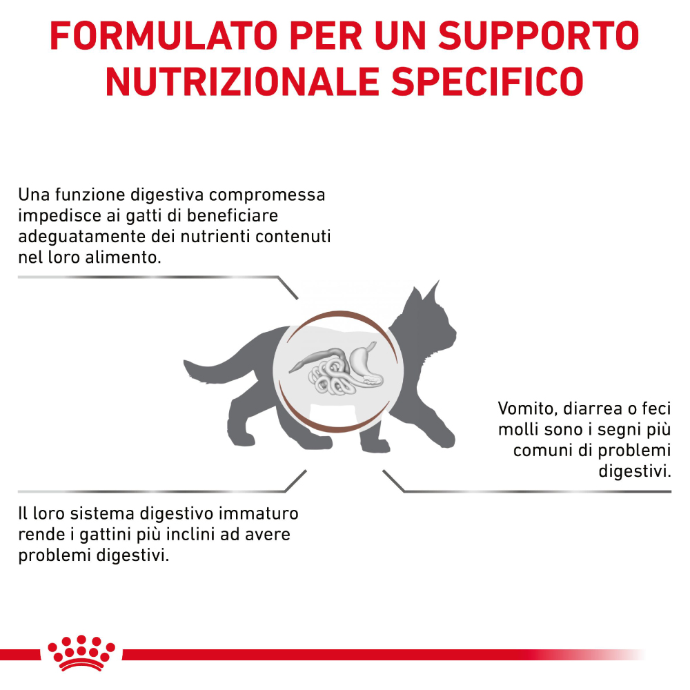 Infografica su supporto nutrizionale digestivo per gatti