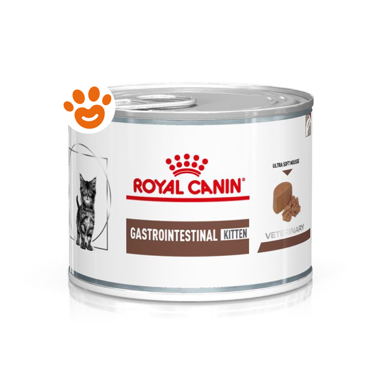 Lattina Royal Canin Gastrointestinal Kitten veterinaria
