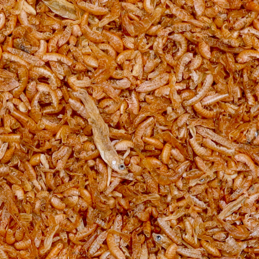 Piccoli gamberetti essiccati con pesciolini