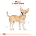 RC-BHN-Wet-Chihuahua-CV-Eretailkit-1﻿-it_IT