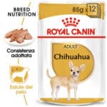 RC-BHN-Wet-Chihuahua-MV-Eretailkit﻿-it_IT