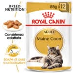 RC-FBN-Wet-MaineCoon-MV-Eretailkit﻿-it_IT