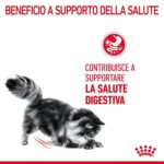 RC-FCN-DigestiveCare-CV-1-it_IT