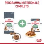 RC-FCN-DigestiveCare-CV-3-it_IT