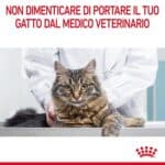 RC-FCN-DigestiveCare-CV-9-it_IT