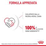 RC-SPT-DRY-MaxiStart-CV-10-it_IT