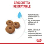 RC-SPT-DRY-MaxiStart-CV-4-it_IT