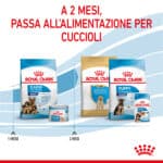 RC-SPT-DRY-MaxiStart-CV-5-it_IT
