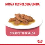 RC-SPT-WET-IndSterGravy-CV-3-it_IT