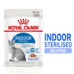 RC-SPT-WET-IndSterJelly-MV-1-it_IT