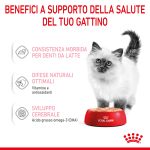 RC-SPT-WET-Kitten-LOAF-CV-3-it_IT