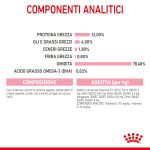 RC-SPT-WET-Kitten-LOAF-CV-5-it_IT
