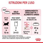 RC-SPT-WET-Kitten-LOAF-CV-7-it_IT