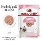RC-SPT-WET-Kitten-LOAF-MV-1-it_IT