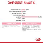 RC-SPT-WET-KittenSter-CIG-CV-5-it_IT