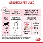 RC-SPT-WET-KittenSter-CIG-CV-7-it_IT