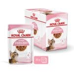 RC-SPT-WET-KittenSter-CIG-MV-2-it_IT