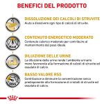 RC-VET-DRY-DogUrinarySOMC-CV-Eretailkit-3-it_IT