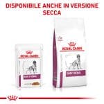 RC-VET-WET-DogEarlyRenTSIG-CV-Eretailkit-6-it_IT